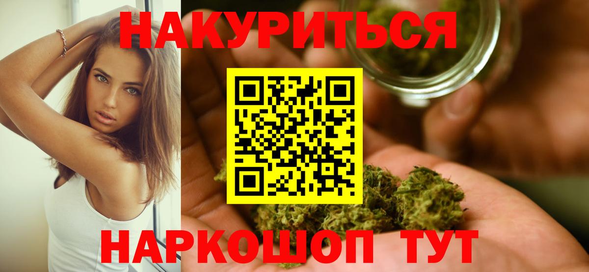 Конопля планчик Волхов
